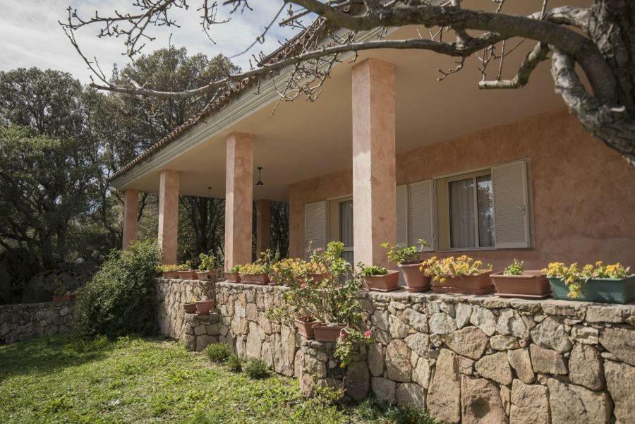Fumu Ludurru Farm Stay Padru Екстер'єр фото
