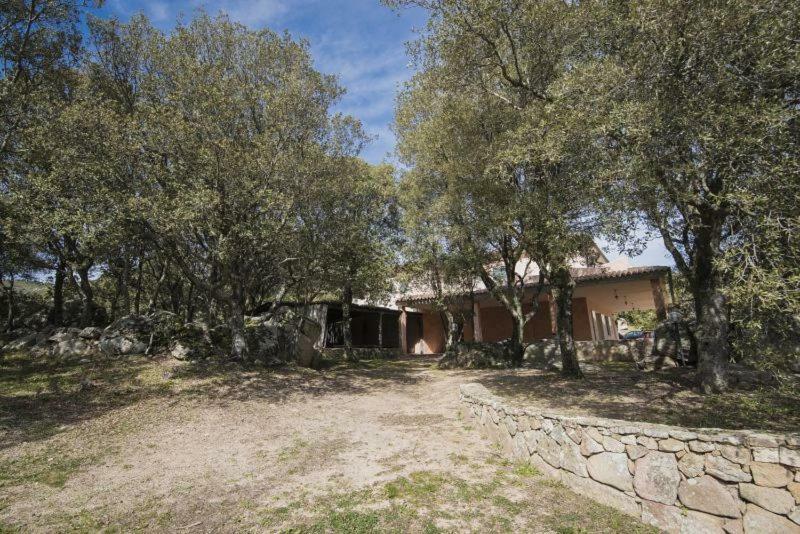 Fumu Ludurru Farm Stay Padru Екстер'єр фото